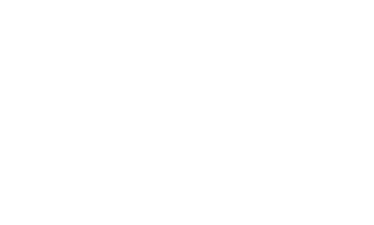 ALUVIA System Windows