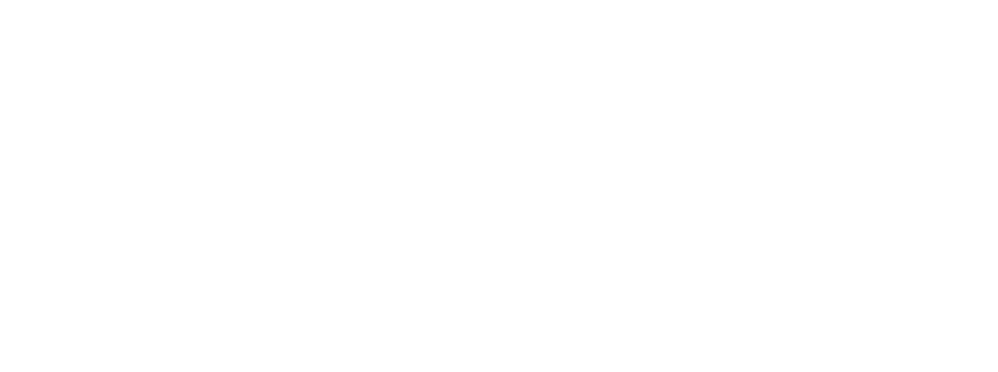 ALUVIA System Windows